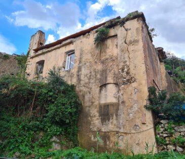 Palermo (PA) – Fondo Pisani e Casina «dell’Orologio»