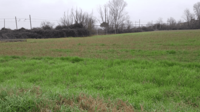 Santa Giuletta (PV) – Area ex Vinal ATP2