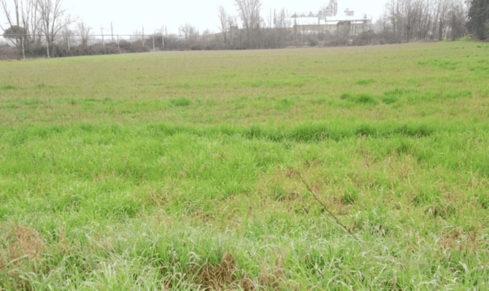 Santa Giuletta (PV) – Area ex Vinal ATP2