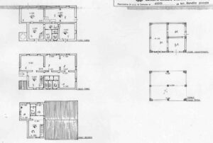 Assisi (PG) – Bandita Piccola Pianta principale