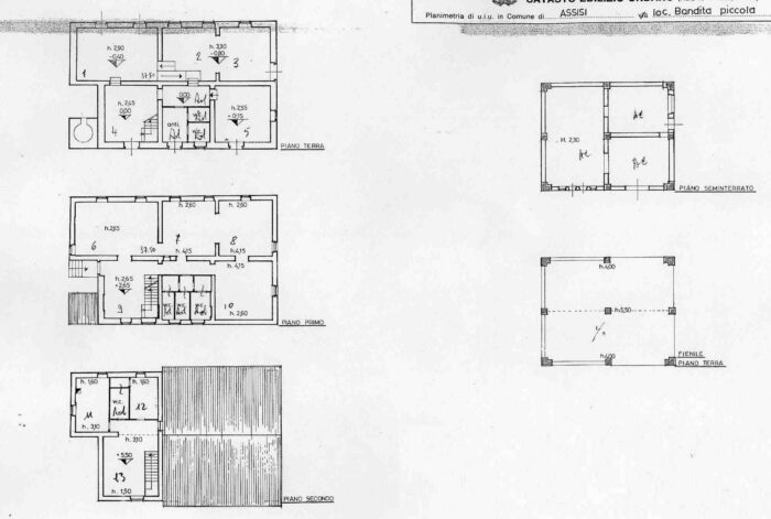 Assisi (PG) – Bandita Piccola Pianta principale