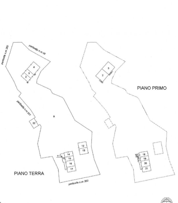 Assisi (PG) – Banditella Di Bandita Pianta principale