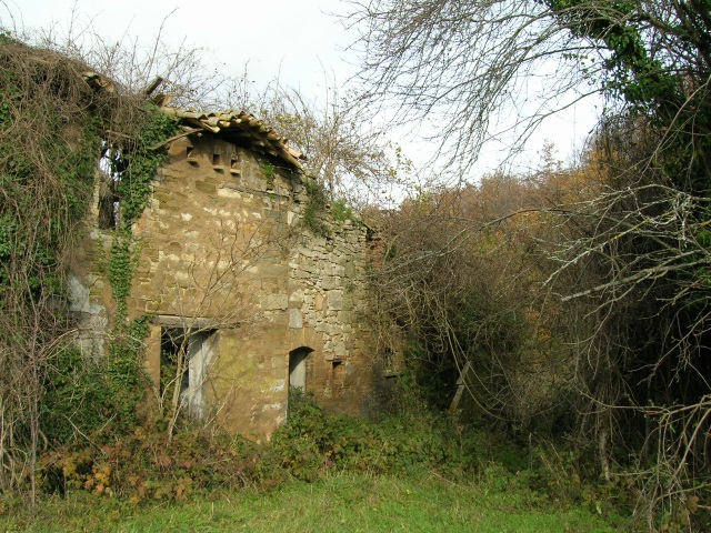 Assisi (PG) – Banditella Di Bandita