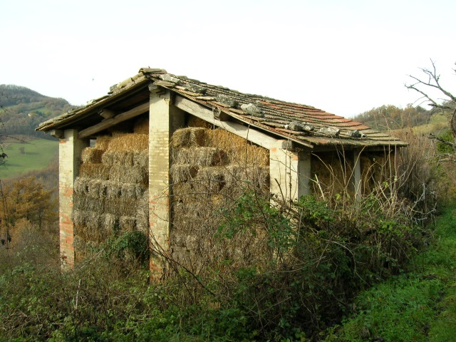 Assisi (PG) – Banditella Di Bandita