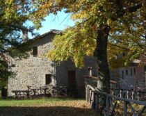 Banditi Piccola - Esterno